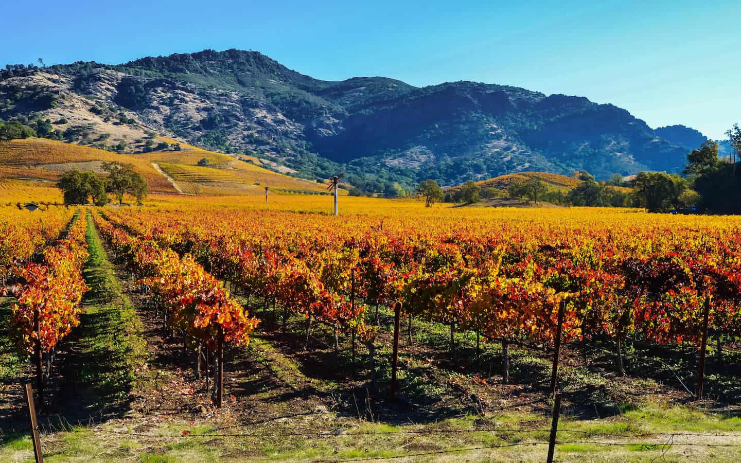 best wine country tours san francisco